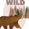 Affiche enfant Wild Ours