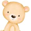 Affiche enfant ourson bébé