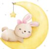 Affiche enfant lapin sur la lune