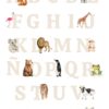Affiche alphabet avec animaux