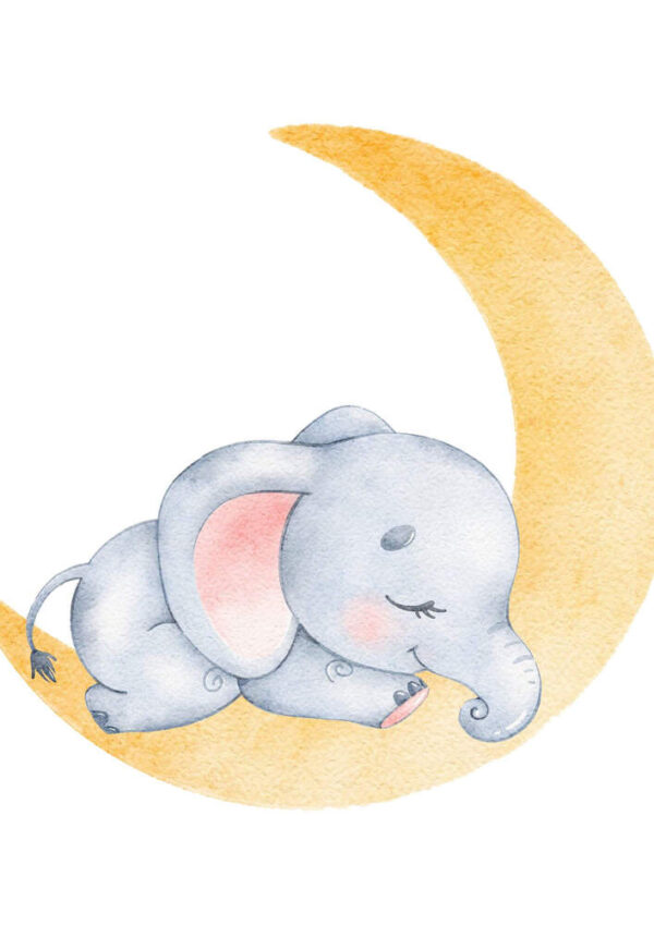 Affiche enfant éléphanteau sur la lune