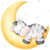 Affiche bébé zèbre sur la lune