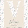 natalicios (26) Affiche de naissance Floret