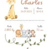 natalicios (29) Affiche de naissance personnalisée animaux de la jungle