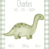 natalicios (39) Affiche de naissance personnalisée dinosaure vert